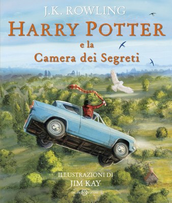Harry Potter e la Camera dei segreti - Ed. Illustrata Brossura — Salani
